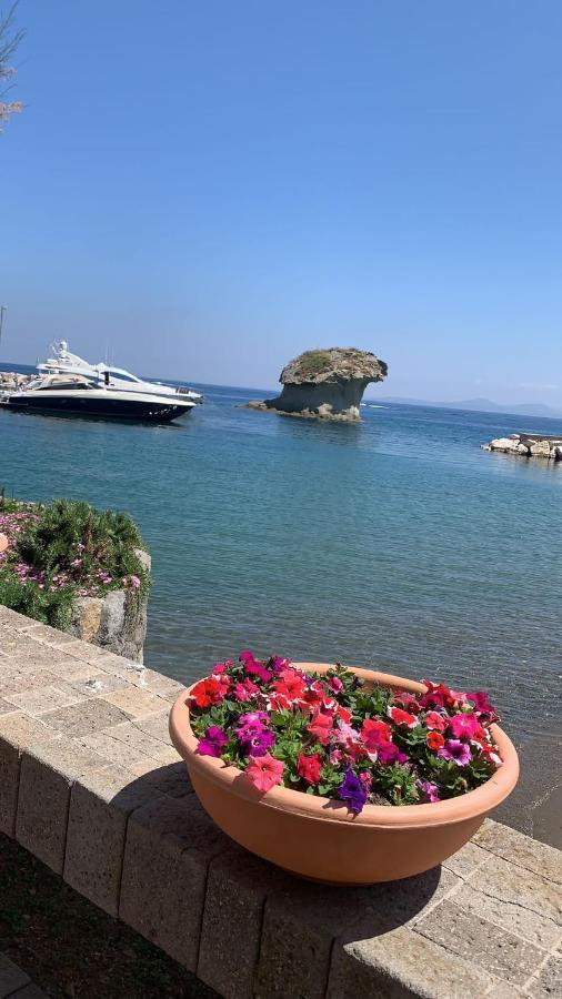 Villa Martina Suite Apartament Lacco Ameno (Isola d'Ischia) Exterior foto