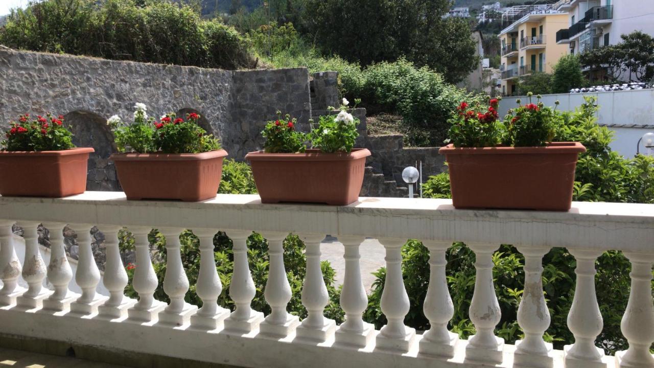 Villa Martina Suite Apartament Lacco Ameno (Isola d'Ischia) Exterior foto