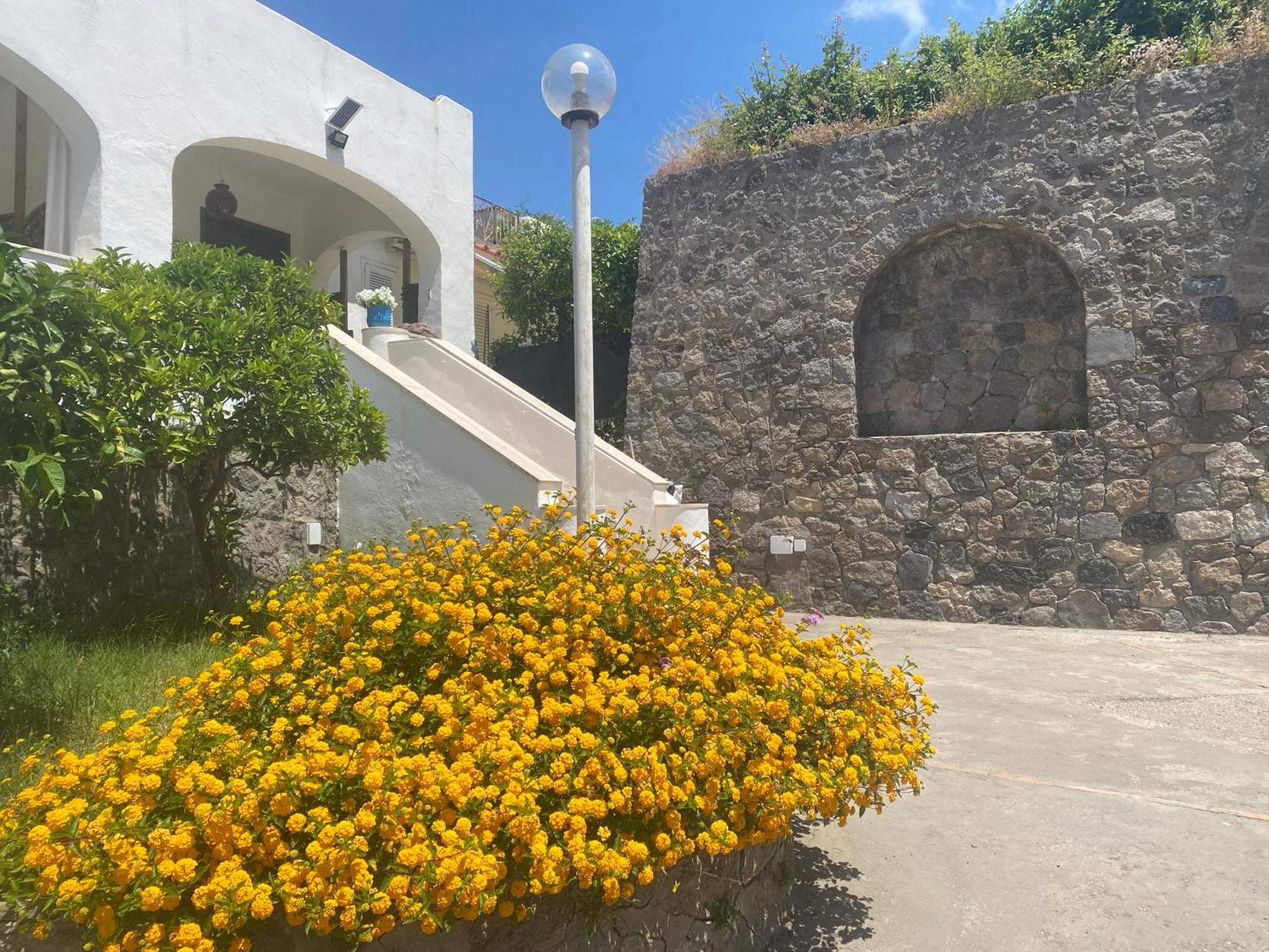 Villa Martina Suite Apartament Lacco Ameno (Isola d'Ischia) Exterior foto